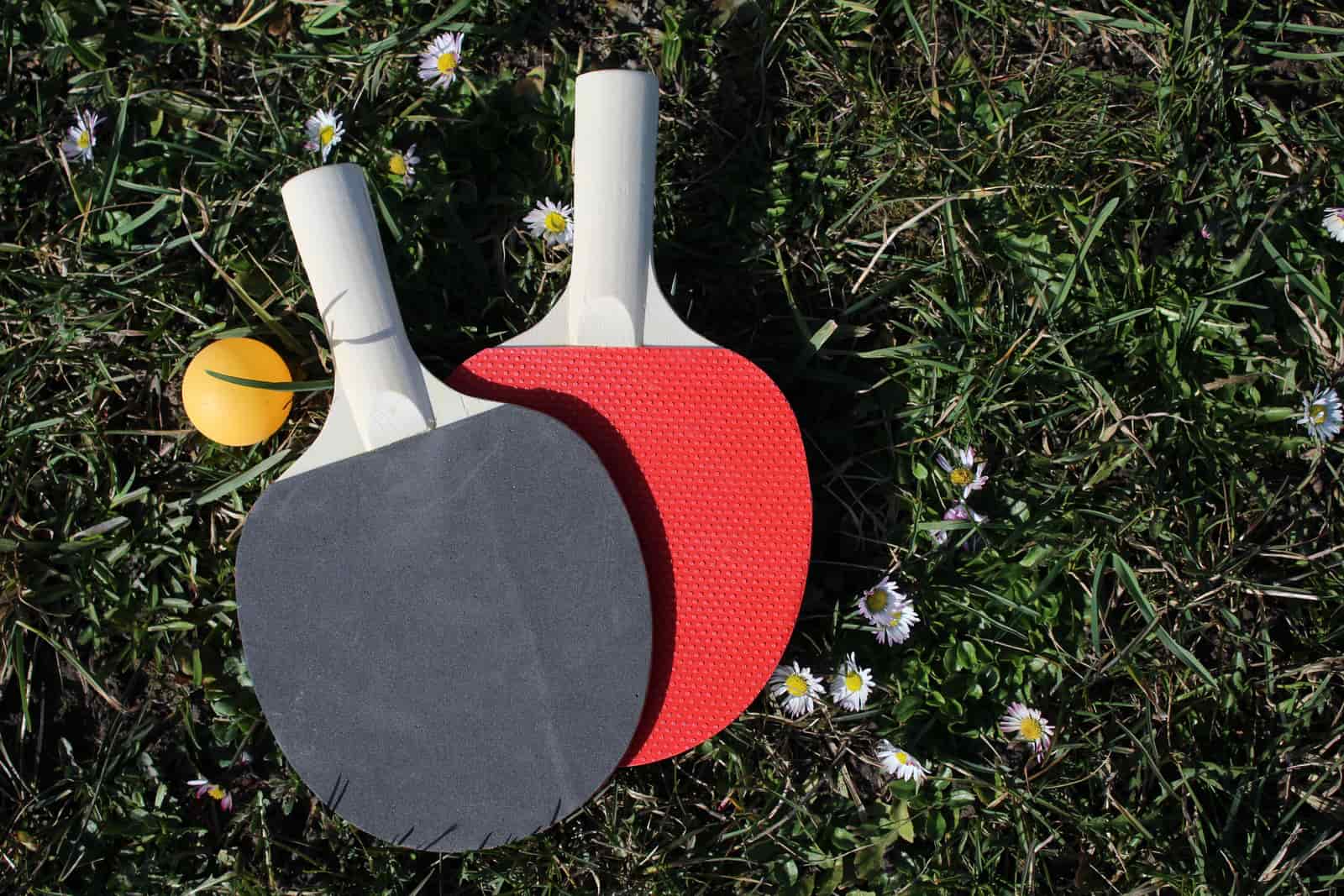 An indoor table tennis table set up with paddles and a ball ready to play